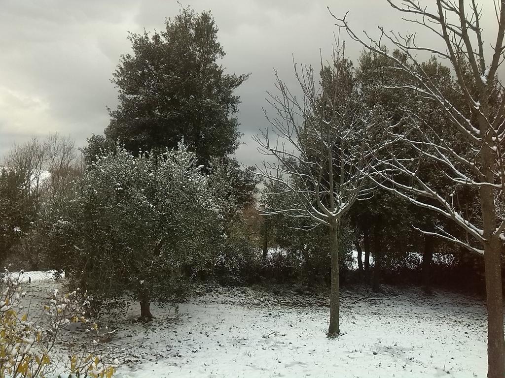 Il Nido Di Alice Bed & Breakfast *