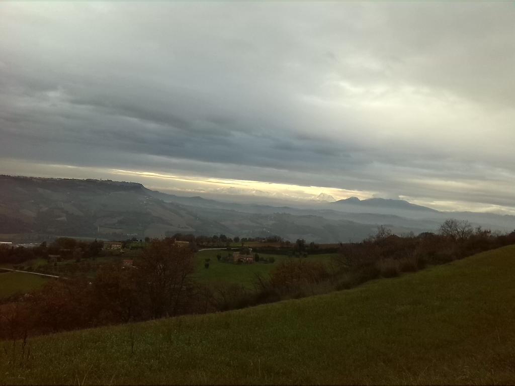 Il Nido Di Alice Bed & Breakfast Moresco