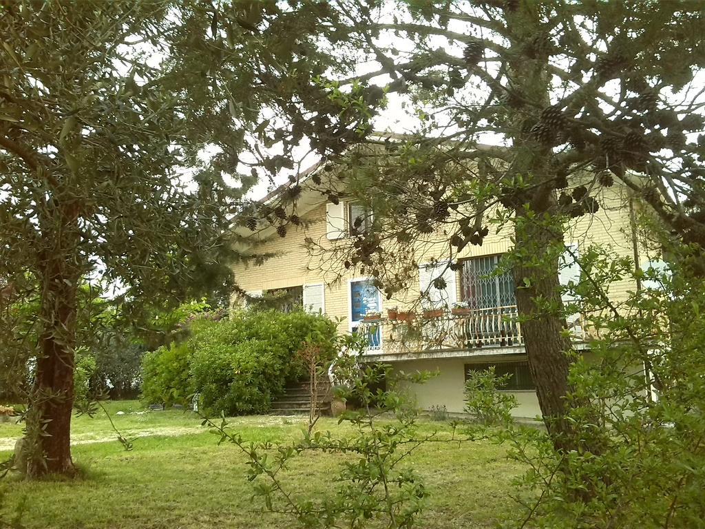 Il Nido Di Alice Bed & Breakfast