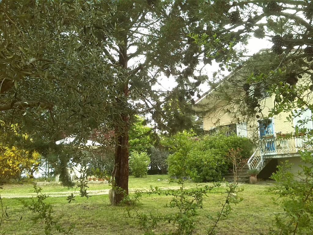 Il Nido Di Alice Bed & Breakfast *